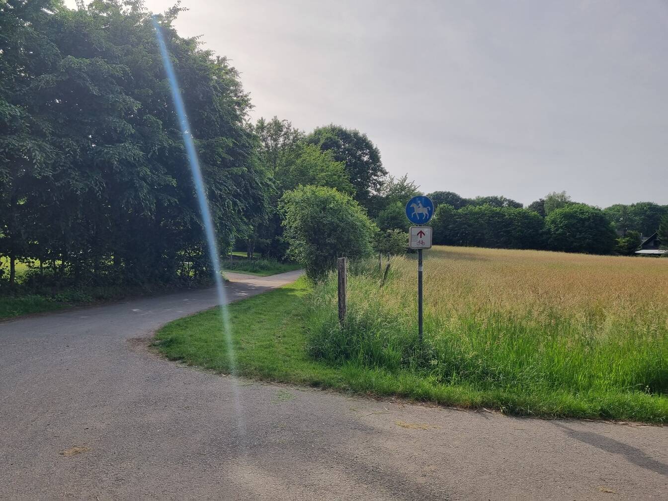Reitweg als Fahrradweg